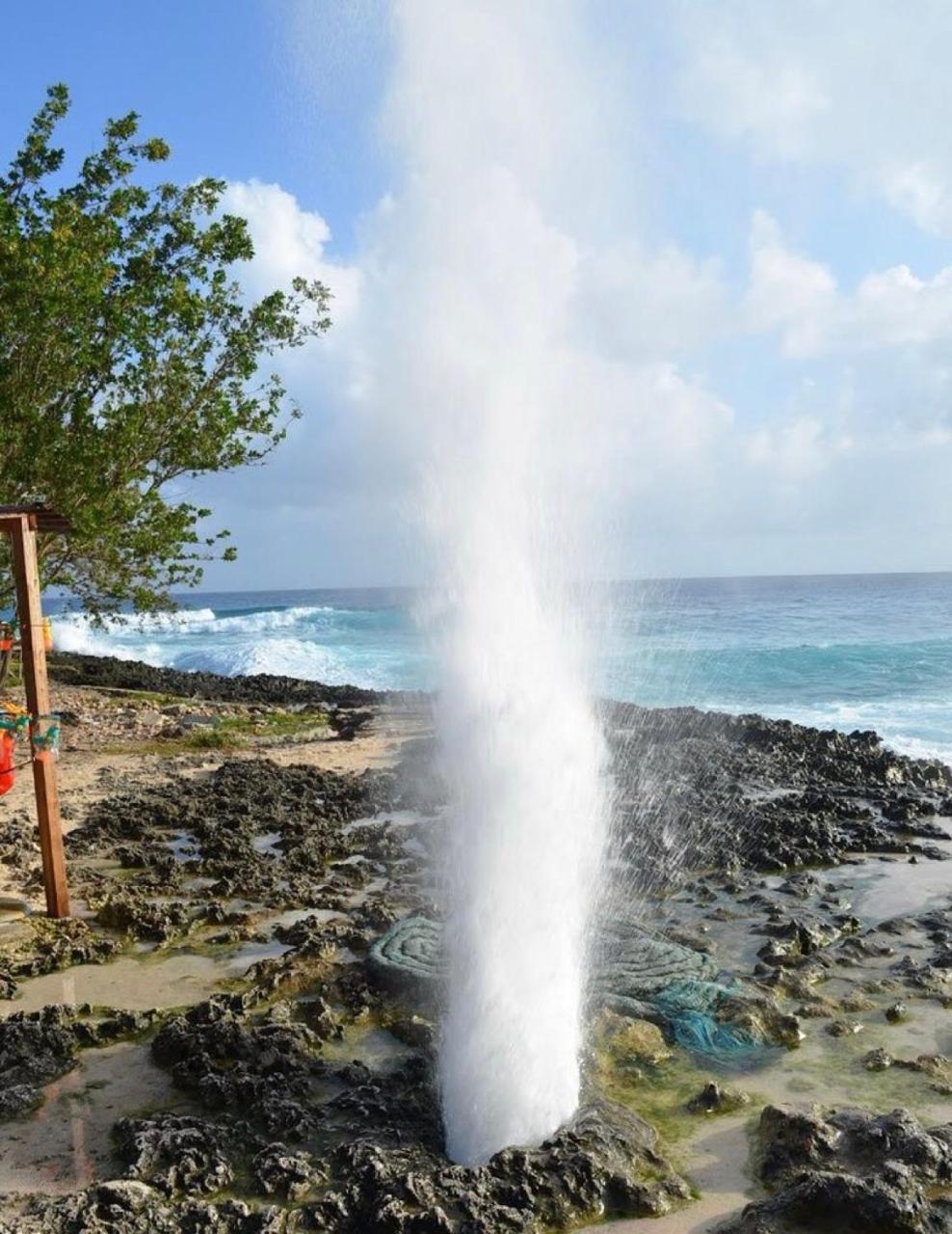 Adyam B & B San Andrés Eksteriør billede